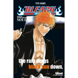 Bleach Data book - Souls