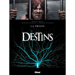 Destins - Tome 12