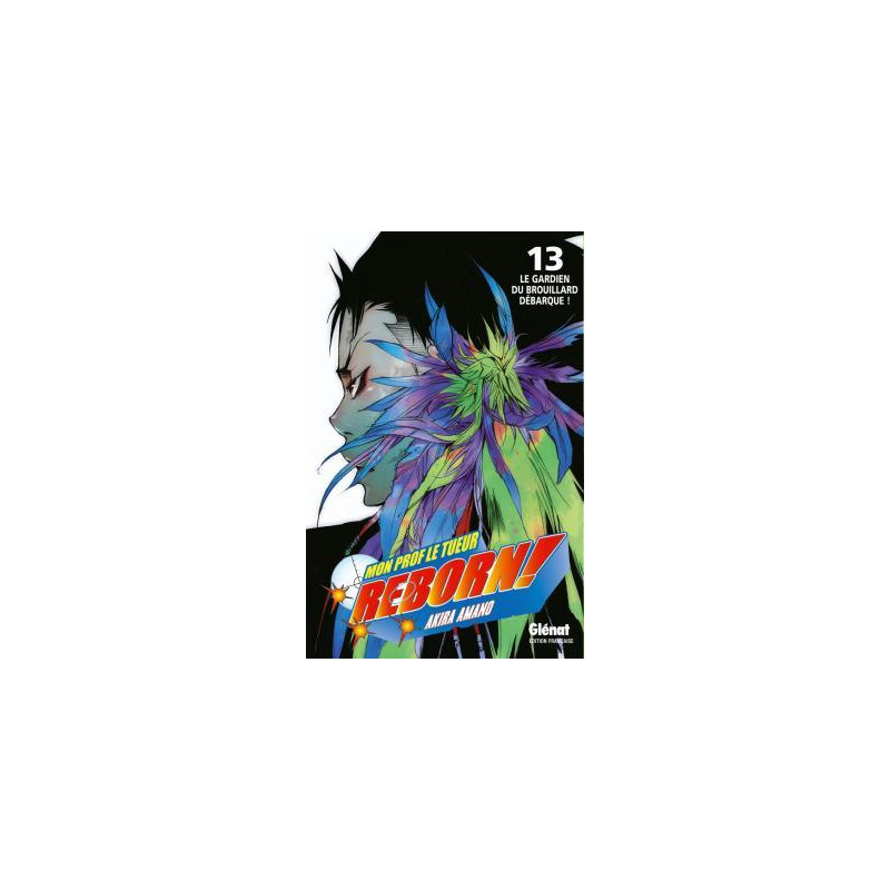 Reborn - Tome 13