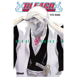 Bleach - Tome 20