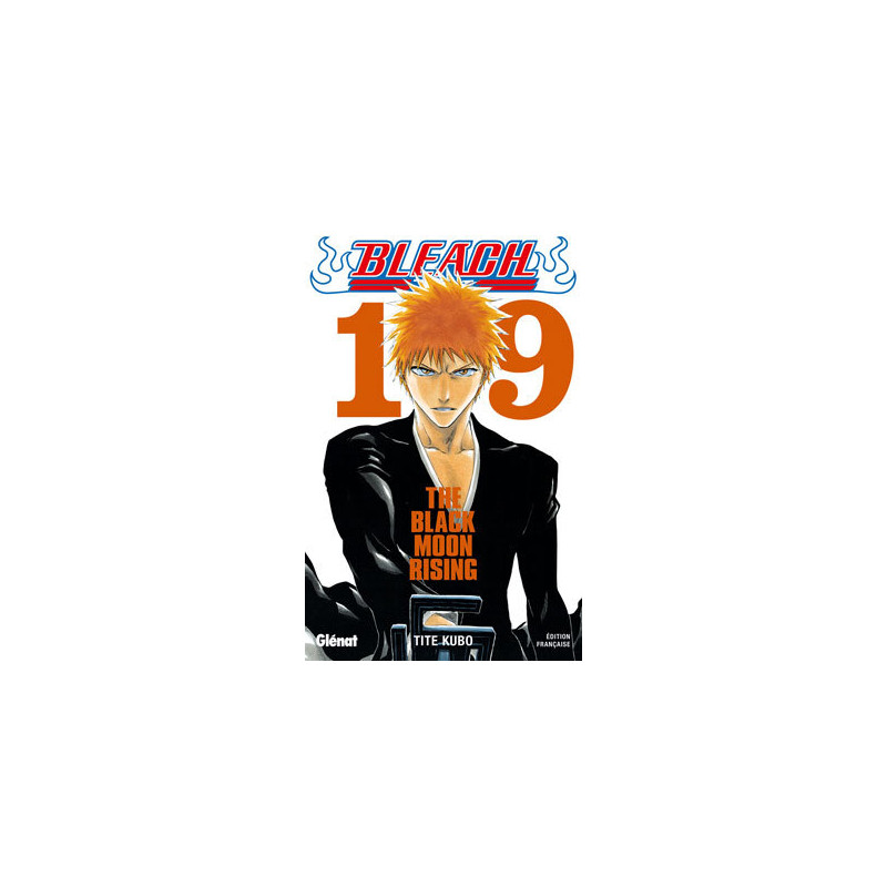 Bleach - Tome 19