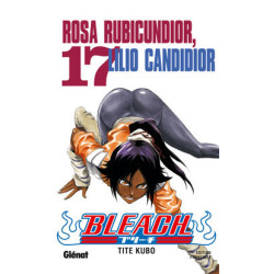 Bleach - Tome 17