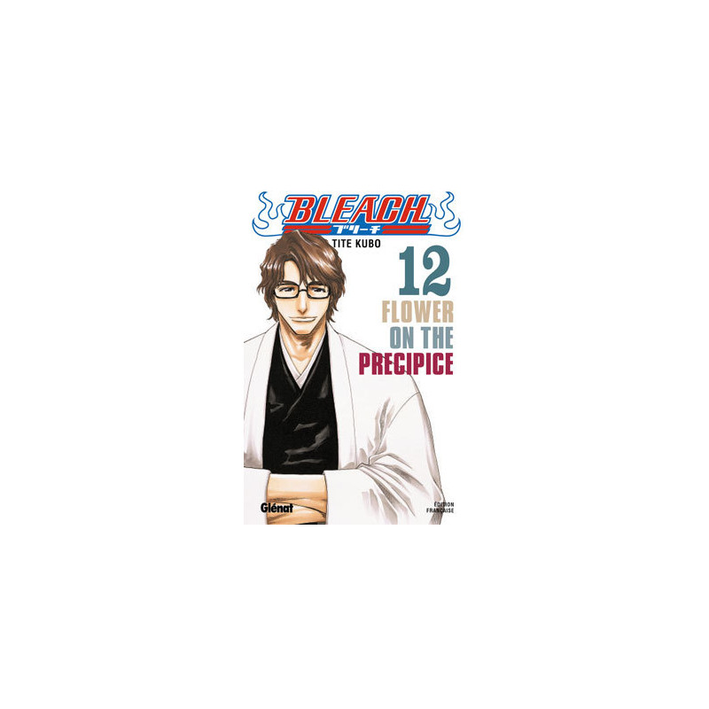 Bleach - Tome 12
