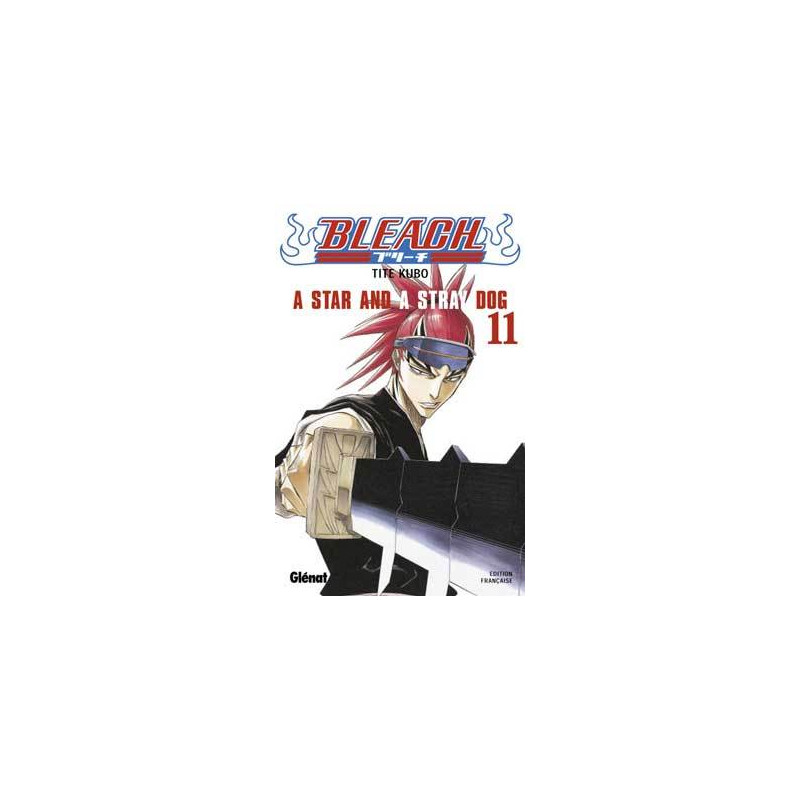 Bleach - Tome 11