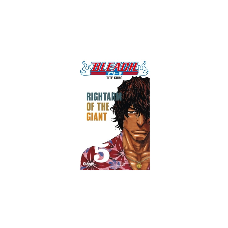 Bleach - Tome 05