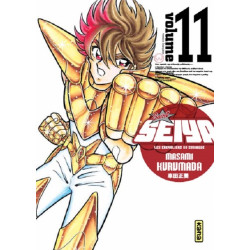 SAINT SEIYA-DELUXE T11