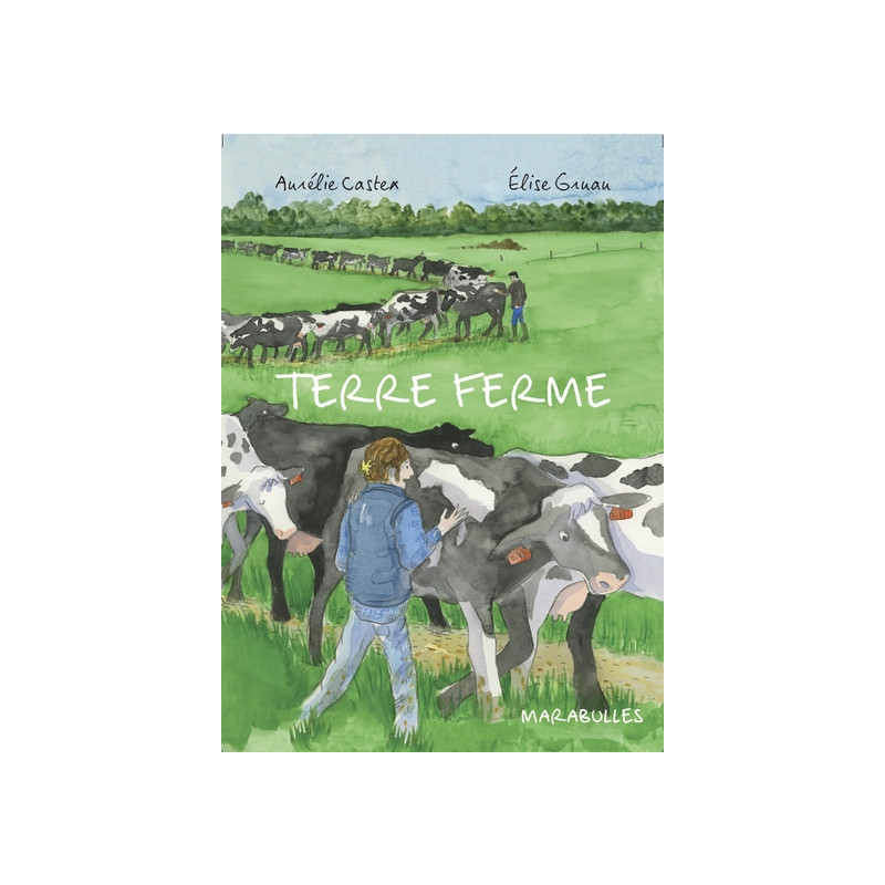 Terre ferme