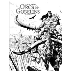 Orcs et Gobelins T11 -...