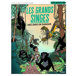Les grands singes - Des...