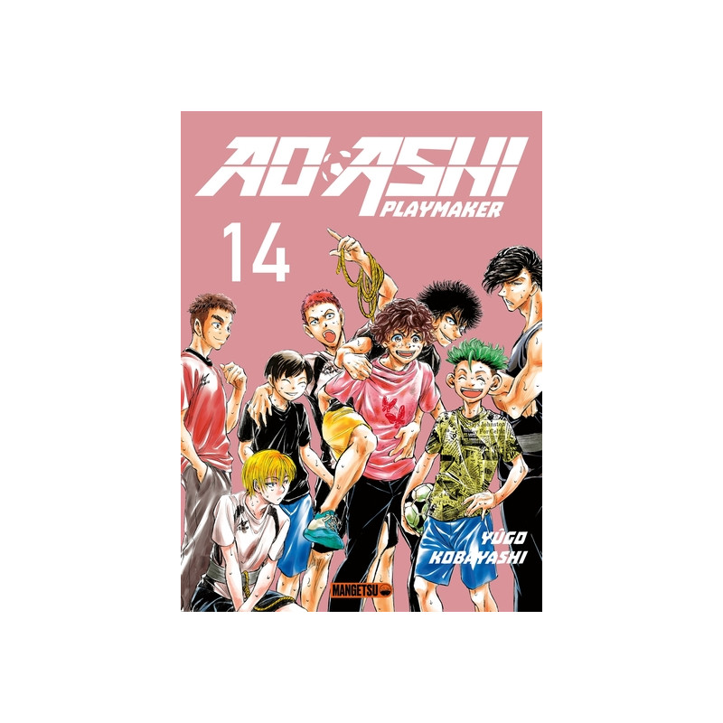 AO ASHI T14