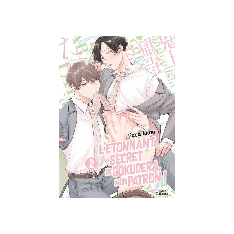 L'étonnant secret de Gokudera, mon patron - Tome 02