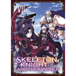 Skeleton Knight in Another...