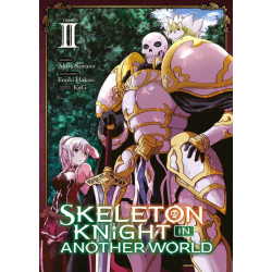 Skeleton Knight in Another...