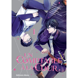 Un comptable à la cour -...