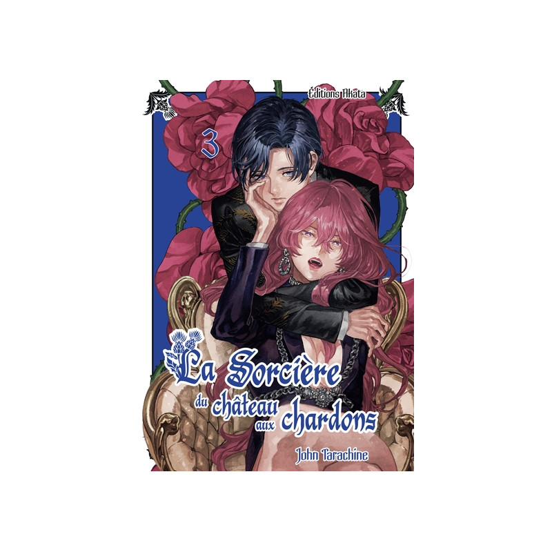 La sorcière du château aux chardons - Tome 3