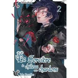 La sorcière du château aux...