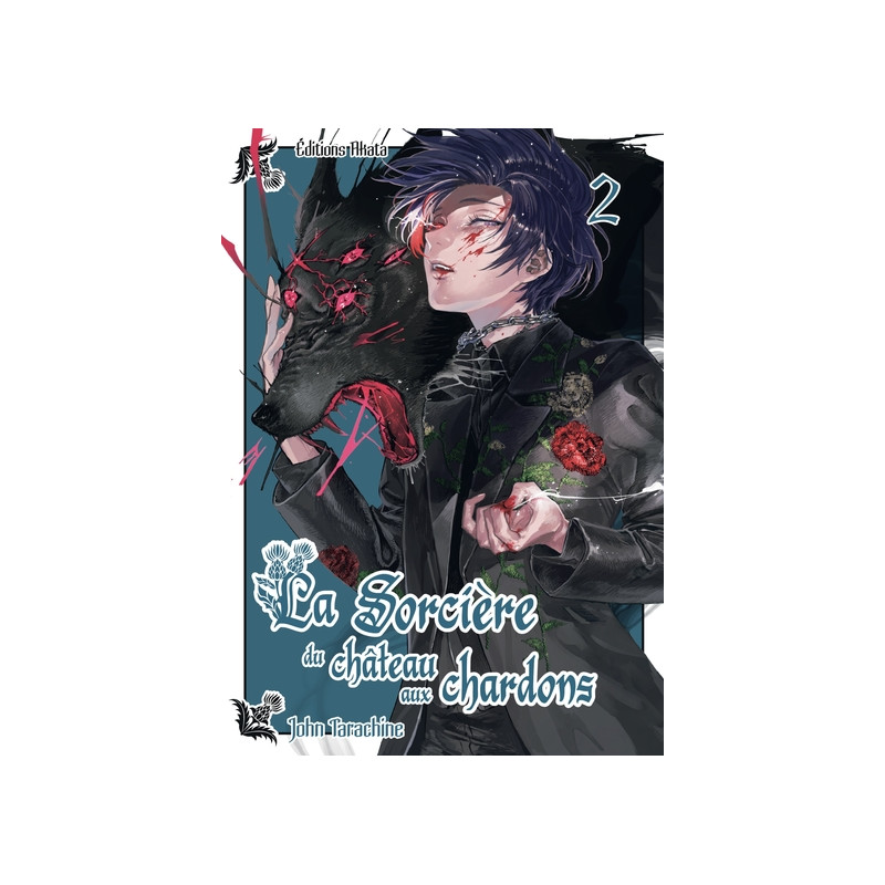 La sorcière du château aux chardons - Tome 2