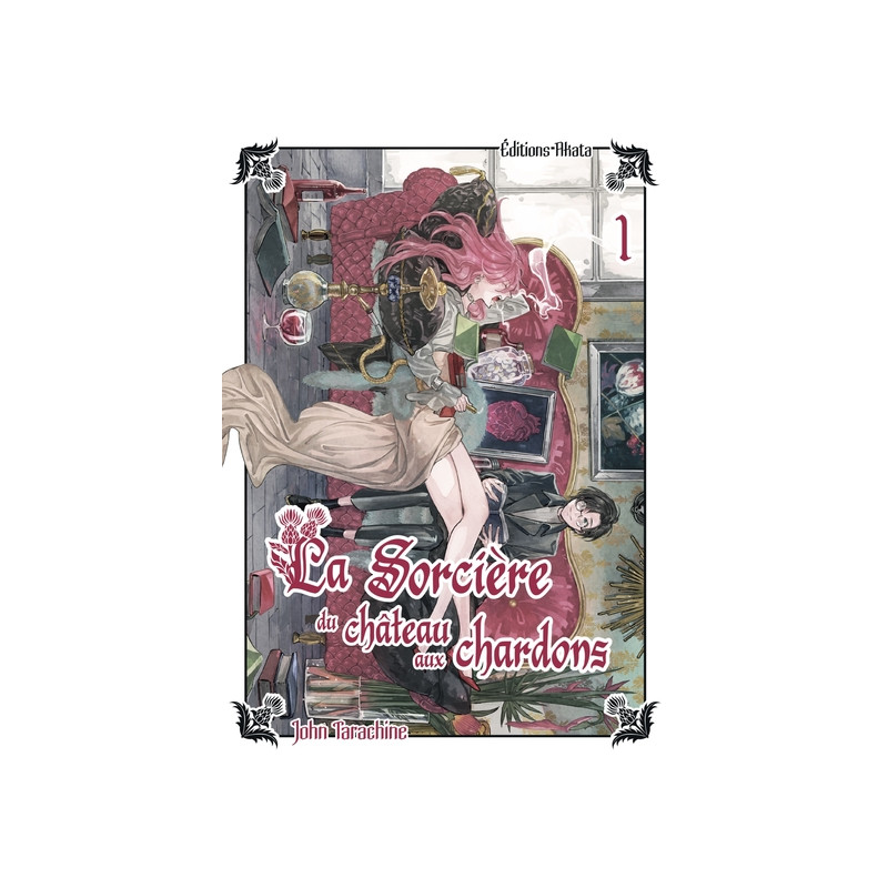 La sorcière du château aux chardons - Tome 1