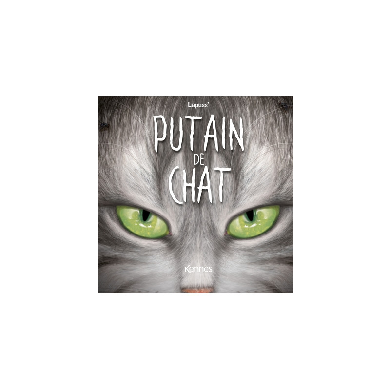 Putain de chat T11