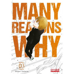 Many Reasons Why - tome 3 (VF)