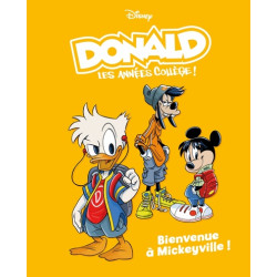 Bienvenue à Mickeyville