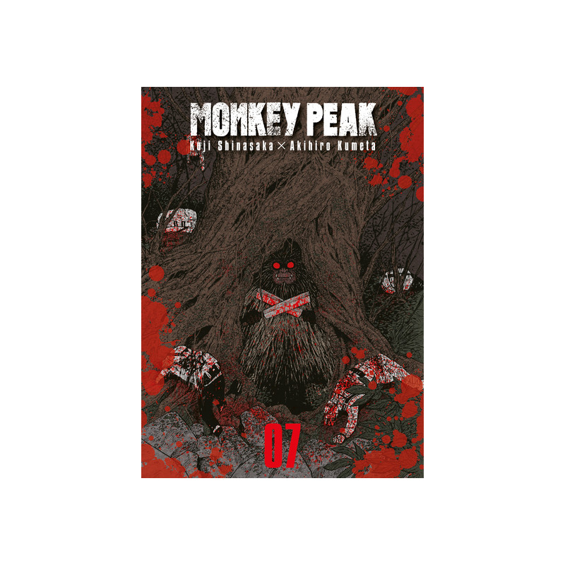 Monkey Peak T07