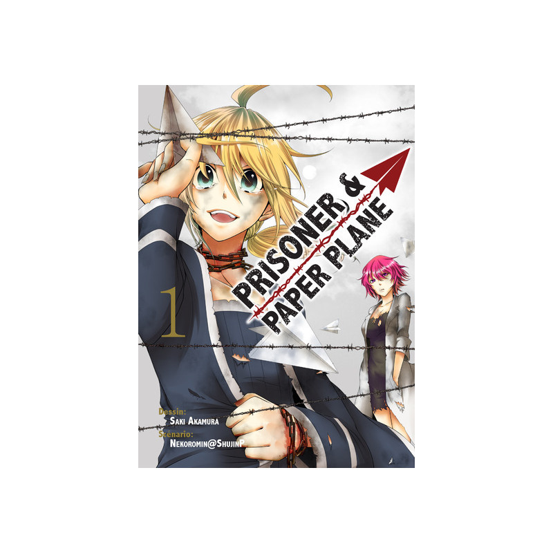 Prisoner and paper plane T01