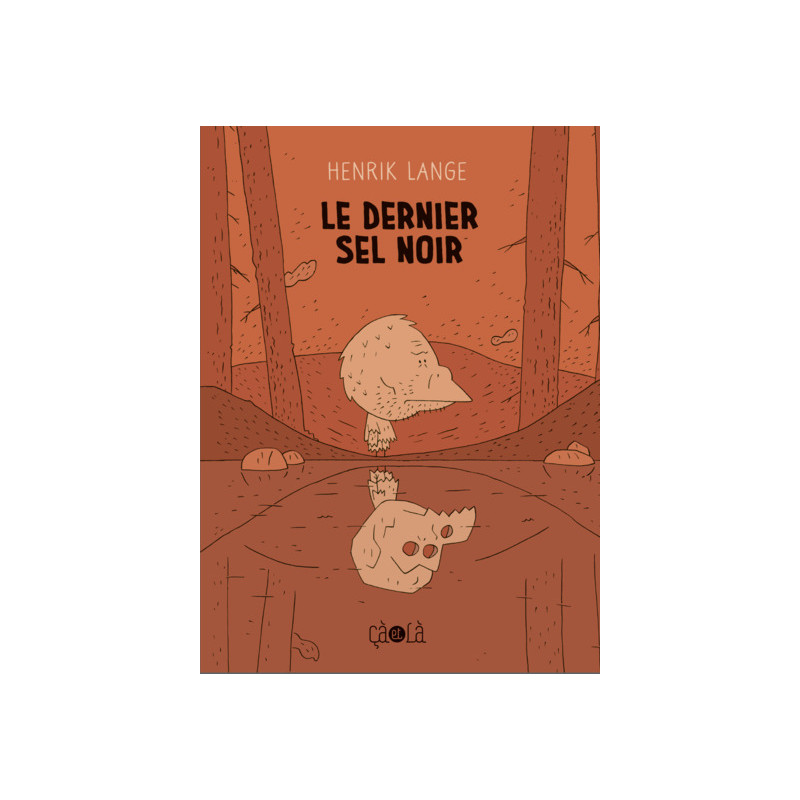 Le dernier sel noir