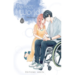 Perfect World - Tome 11 (VF)