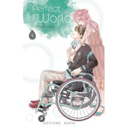 Perfect World - Tome 9 (VF)