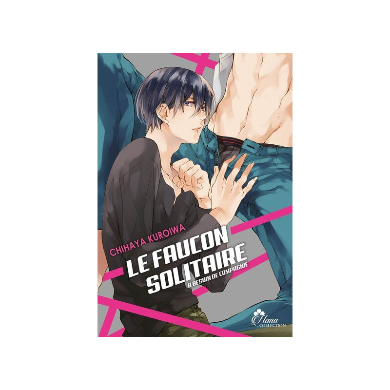 Le Faucon Solitaire