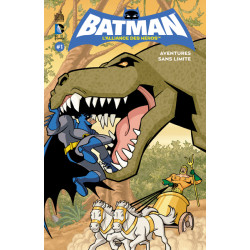 BATMAN L'ALLIANCE DES HEROS T1