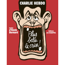Plus belle la crise