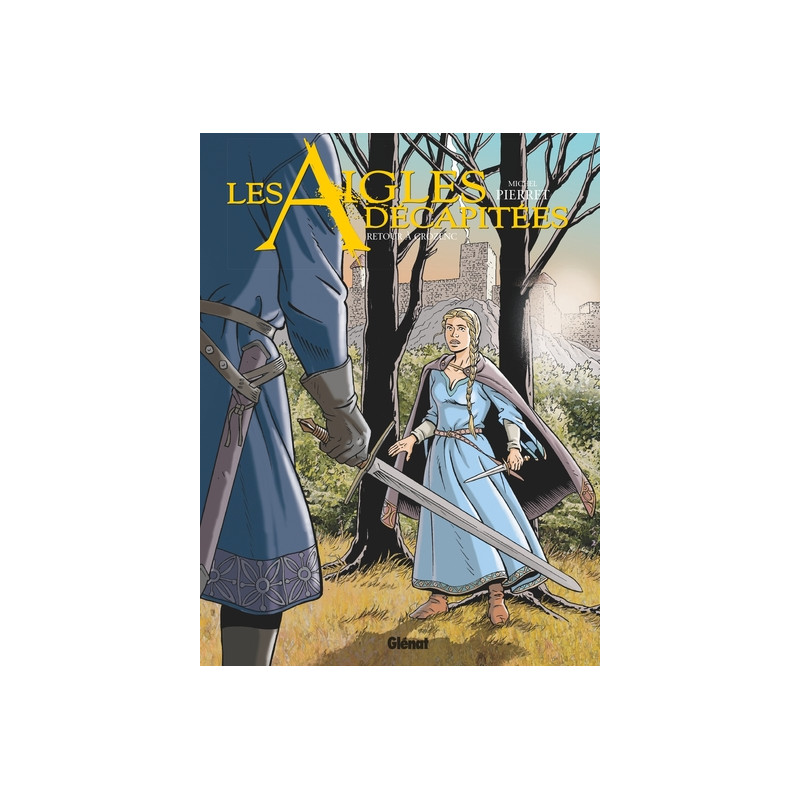Les Aigles décapitées - Tome 29