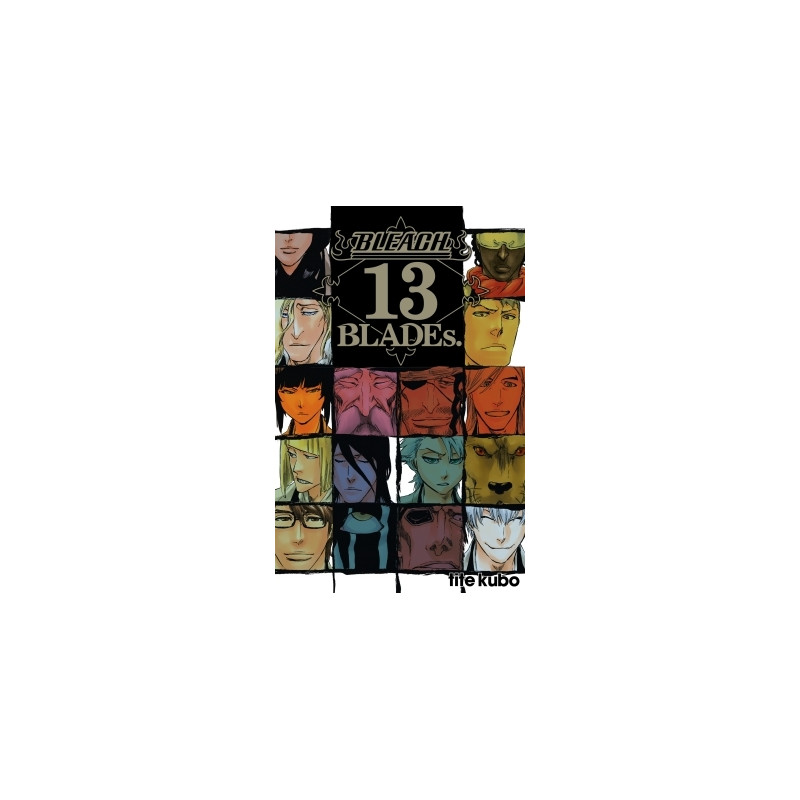 Bleach Data book - 13th Blades