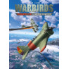Warbirds Polikarpov I-16 - La Mouche de Moscou