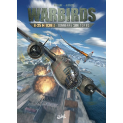 Warbirds B-25 Mitchell -...