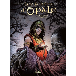 Les Forêts d'Opale -...