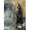 Elfes - tome 17 Le sang noir des Sylvains