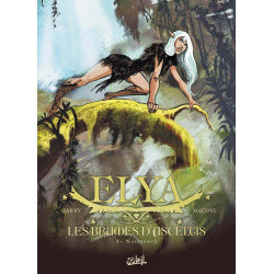 Elya, les brumes d'Asceltis...