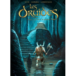 Les Druides T05 - La Pierre...
