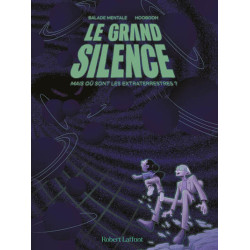 Le grand silence - Mais où...