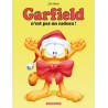 GARFIELD, N'EST PAS UN CADEAU !