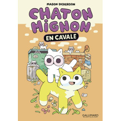 Chaton Mignon