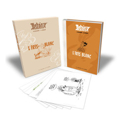 ASTERIX Tome 40 Artbook -...