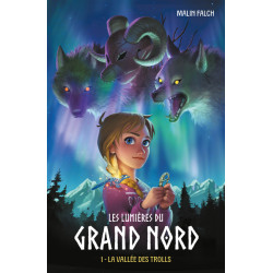 Les lumières du grand nord...
