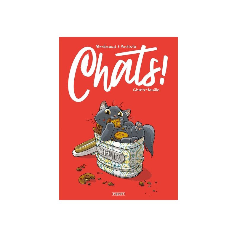 Chats T4