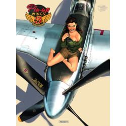 Pin-Up Wings T3