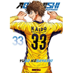 AO ASHI T33