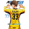 AO ASHI T33